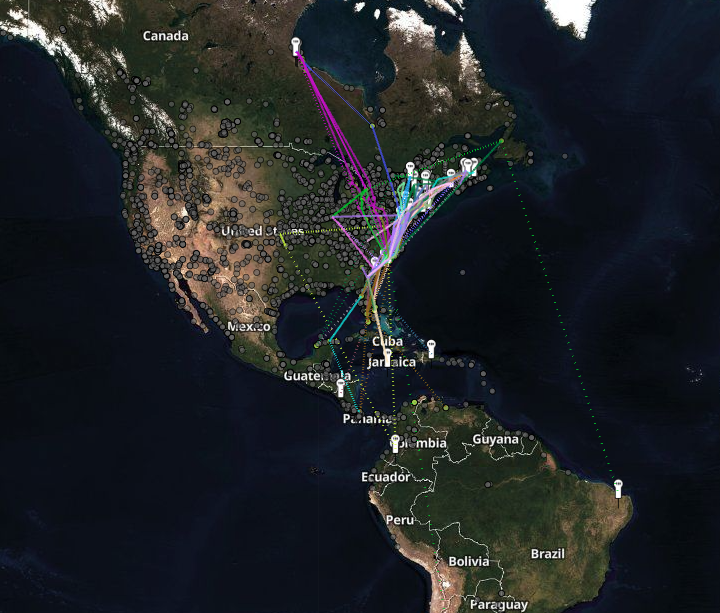 The many birds detected by the Lea-island Motus tower. Map: Motus