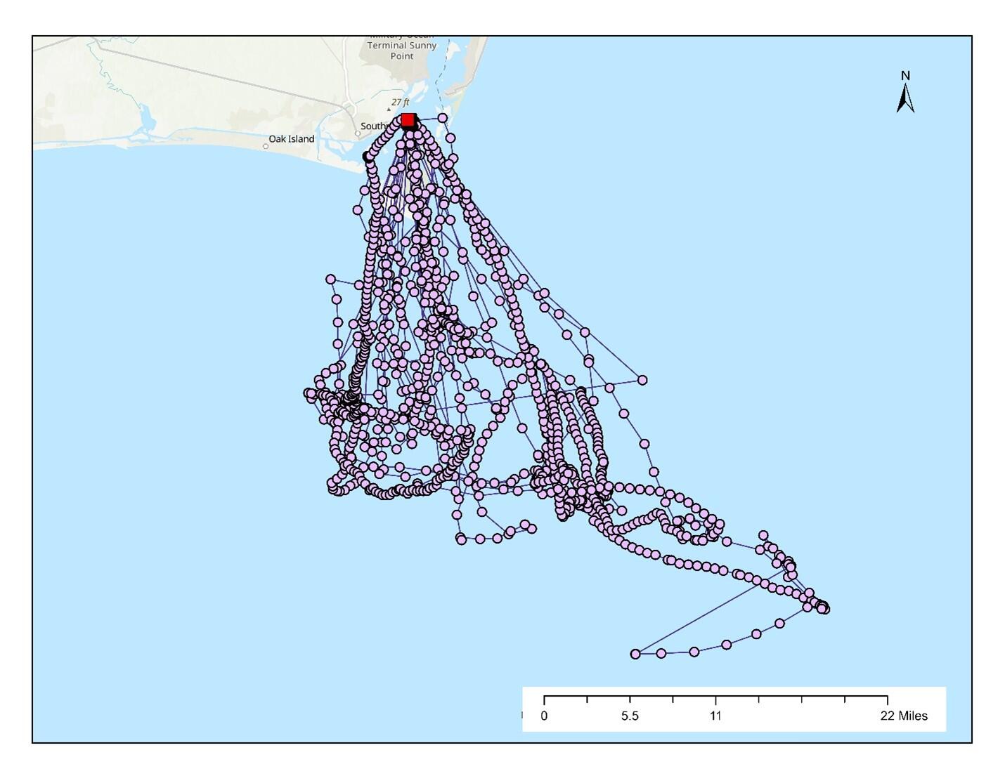 Map showing the movements of tracker 0791. Map: Dr. Kate Goodenough/Larid Research and Conservation