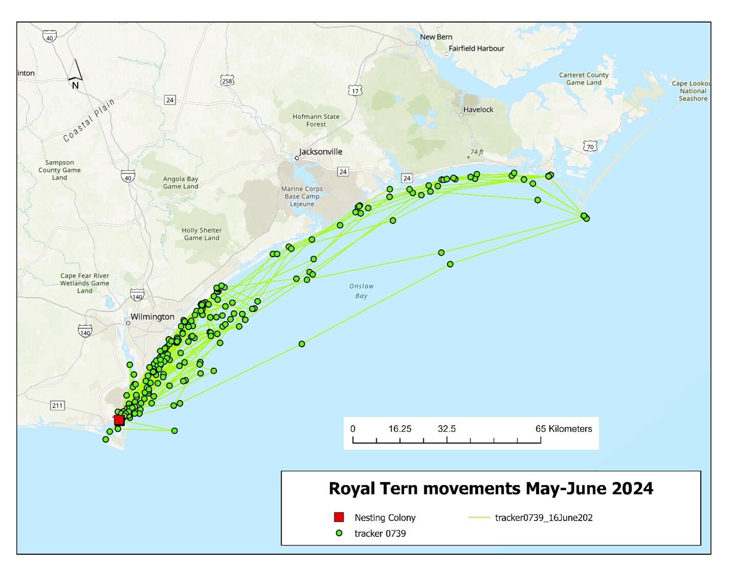 Map showing the movements of tracker 0739. Map: Dr. Kate Goodenough/Larid Research and Conservation