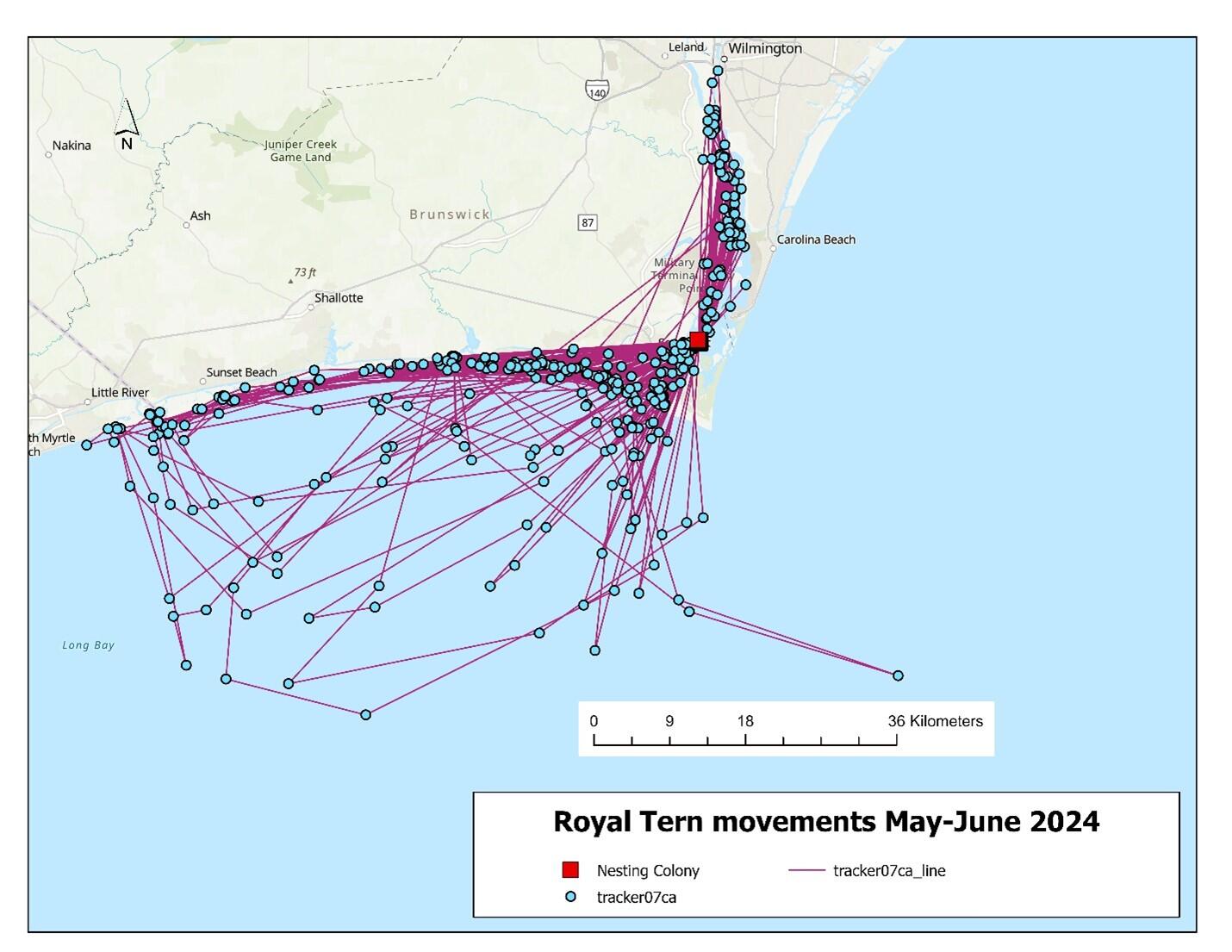 Map showing the movements of tracker 07ca. Map: Dr. Kate Goodenough/Larid Research and Conservation Map showing the movements of tracker 07ca. Map: Dr. Kate Goodenough/Larid Research and Conservation