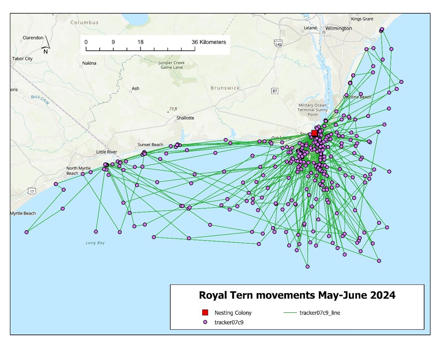 Map showing the movements of tracker 07c9. Map: Dr. Kate Goodenough/Larid Research and Conservation