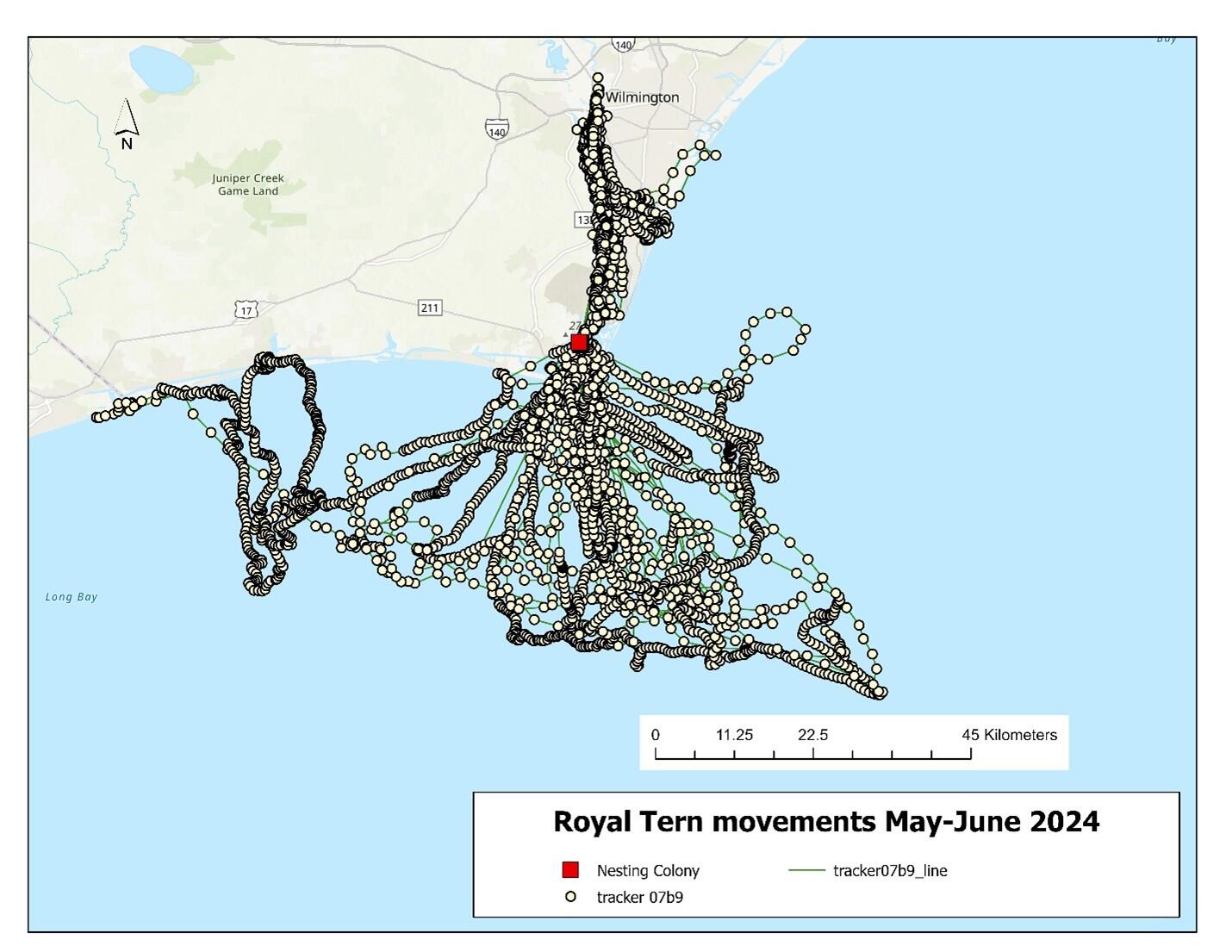 Map showing the movements of tracker 07B9. Map: Dr. Kate Goodenough/Larid Research and Conservation