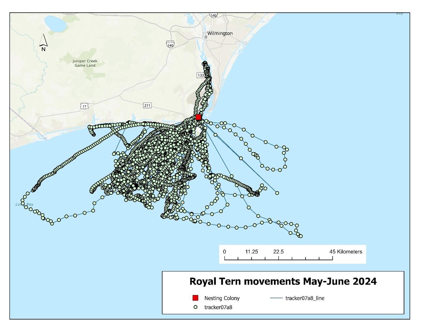 Map showing the movements of tracker 07a8. Map: Dr. Kate Goodenough/Larid Research and Conservation