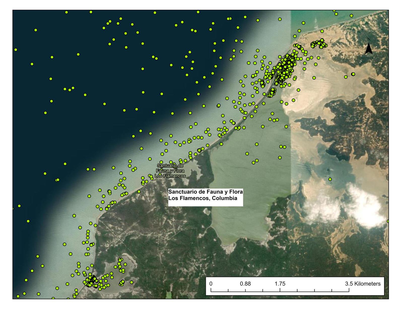 Movements of a Royal Tern wintering in Columbia. Map: Dr. Kate Goodenough/Larid Research and Conservation Movements of a Royal Tern wintering in Columbia. Map: Dr. Kate Goodenough/Larid Research and Conservation