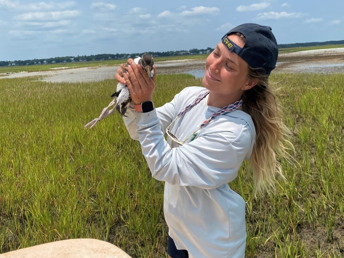 Lauren holding an American Oystercatcher chick on an island on the Cape Fear River