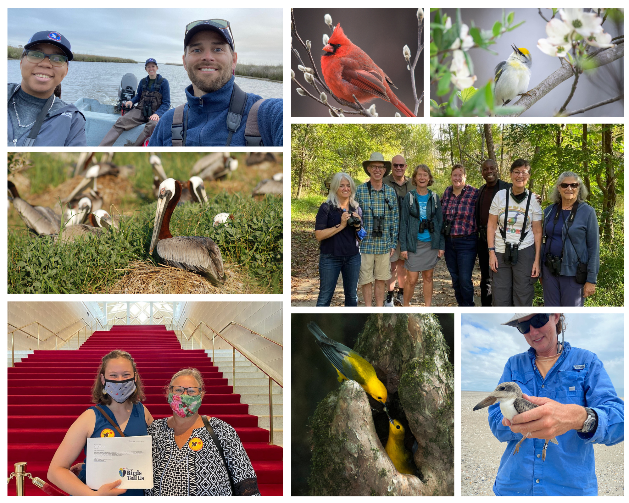 Photo collage of Audubon wins in North Carolina.