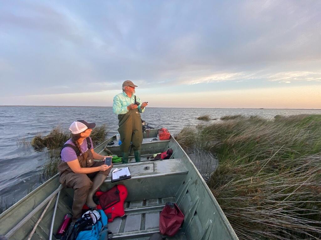 Sara and Robbie on Currituck Sound conducting secretive marsh bird surveys.