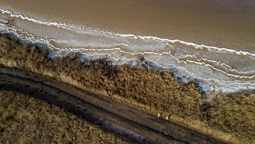 Water with vegetation. Photo: Sydney Walsh/Audubon