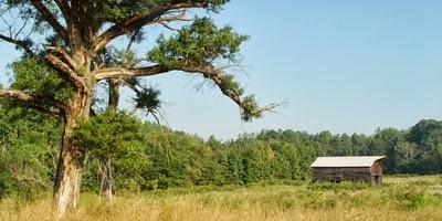 Chapter Of The Month: Mecklenburg Audubon- Important Bird Areas ...