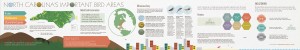 Infographic_Round 12
